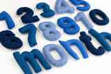 Monthly Milestone or Number Counting Set- Blue
