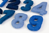 Monthly Milestone or Number Counting Set- Blue