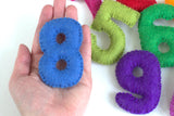 Monthly Milestone or Number Counting Set- Blue