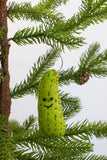 Pickle Christmas Tree Felt Ornament