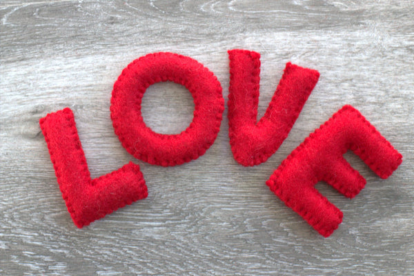 Valentine's Day LOVE Stitched Letters