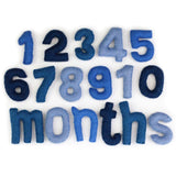 Monthly Milestone or Number Counting Set- Blue