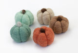 Wool Felt Pumpkins - Teal & Terra Cotta