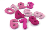 Felt Number Set 0-9 Counting Child Education Learning Toy- PINK