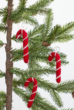 Candy Cane Christmas Tree Ornaments- Red with White Stripes