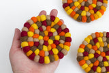 Fall Coaster Set of 4 or 6