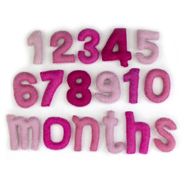 Monthly Milestone or Number Counting Set- Pink