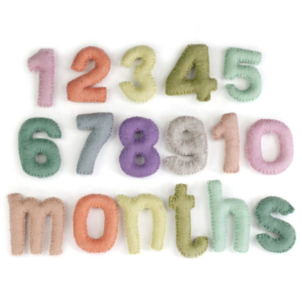 Monthly Milestone or Number Counting Set- Pastel