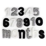 Monthly Milestone or Number Counting Set- Black & White