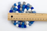 Winter Coaster Set of 4 or 6